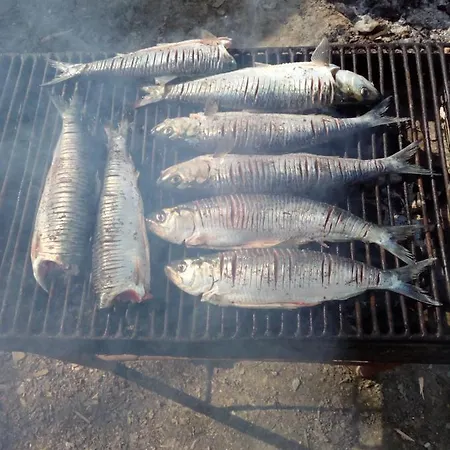 Casa Orizont سولينا