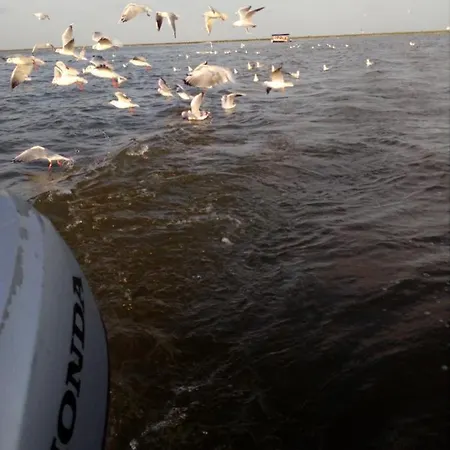 بيت ضيافة Casa Orizont 3*