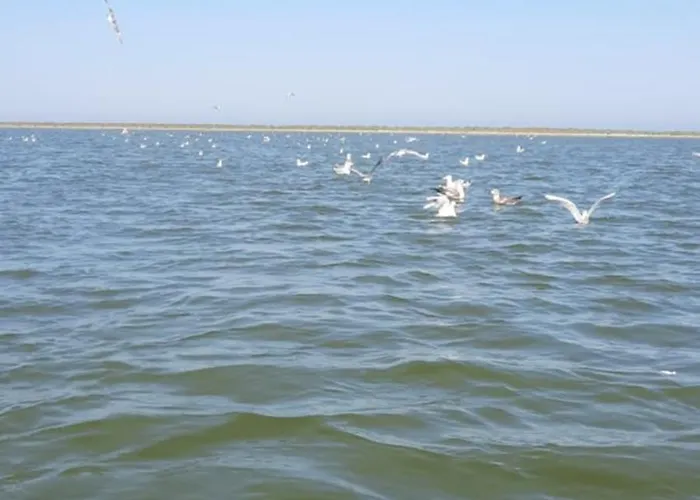 בית הארחה Casa Orizont 3*