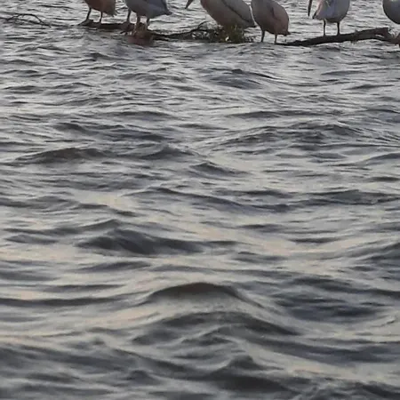 Casa Orizont Гостевой дом 3*