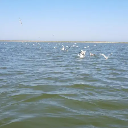 Гостевой дом Casa Orizont 3*